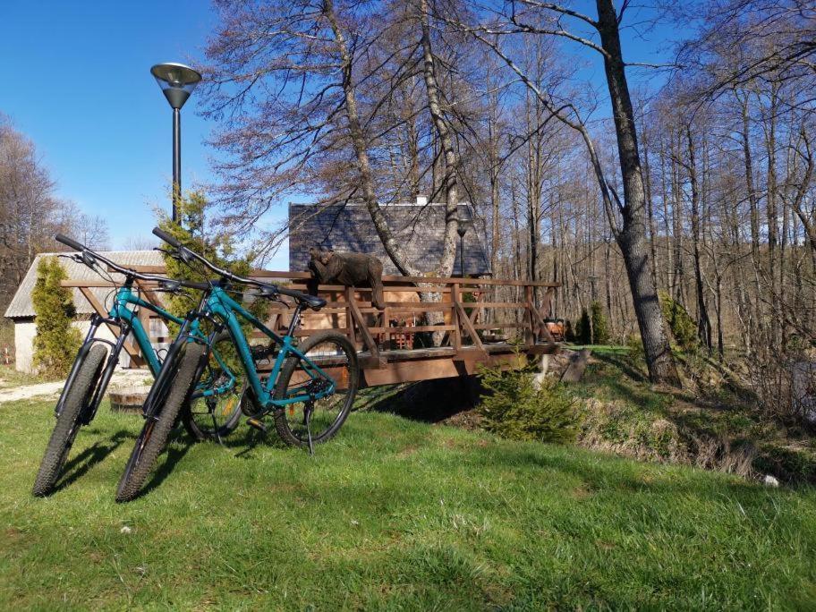 Vodenica Vrelo Chalets Vrelo Koreničko Exteriér fotografie