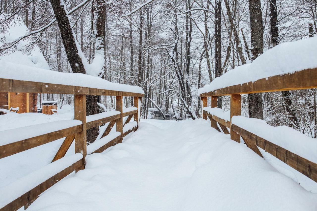 Vodenica Vrelo Chalets Vrelo Koreničko Exteriér fotografie