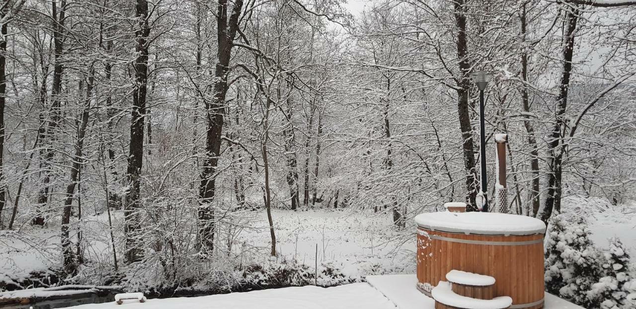 Vodenica Vrelo Chalets Vrelo Koreničko Exteriér fotografie
